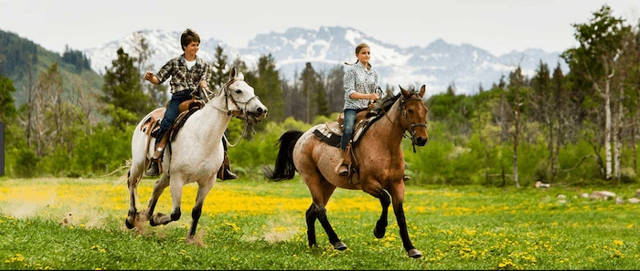 Confident plus-size woman riding Bury St Edmunds a horse through a field with a smile on her face.